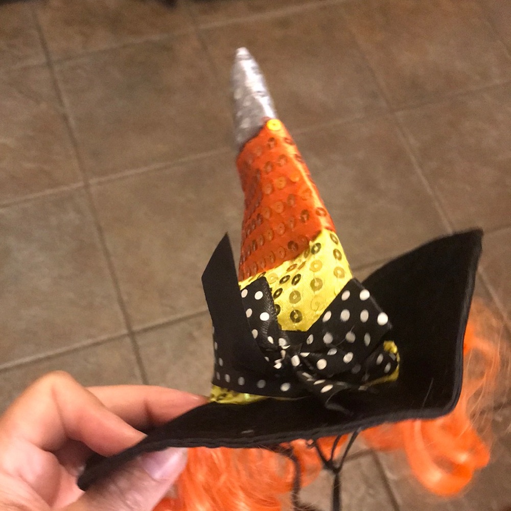 Pet costume